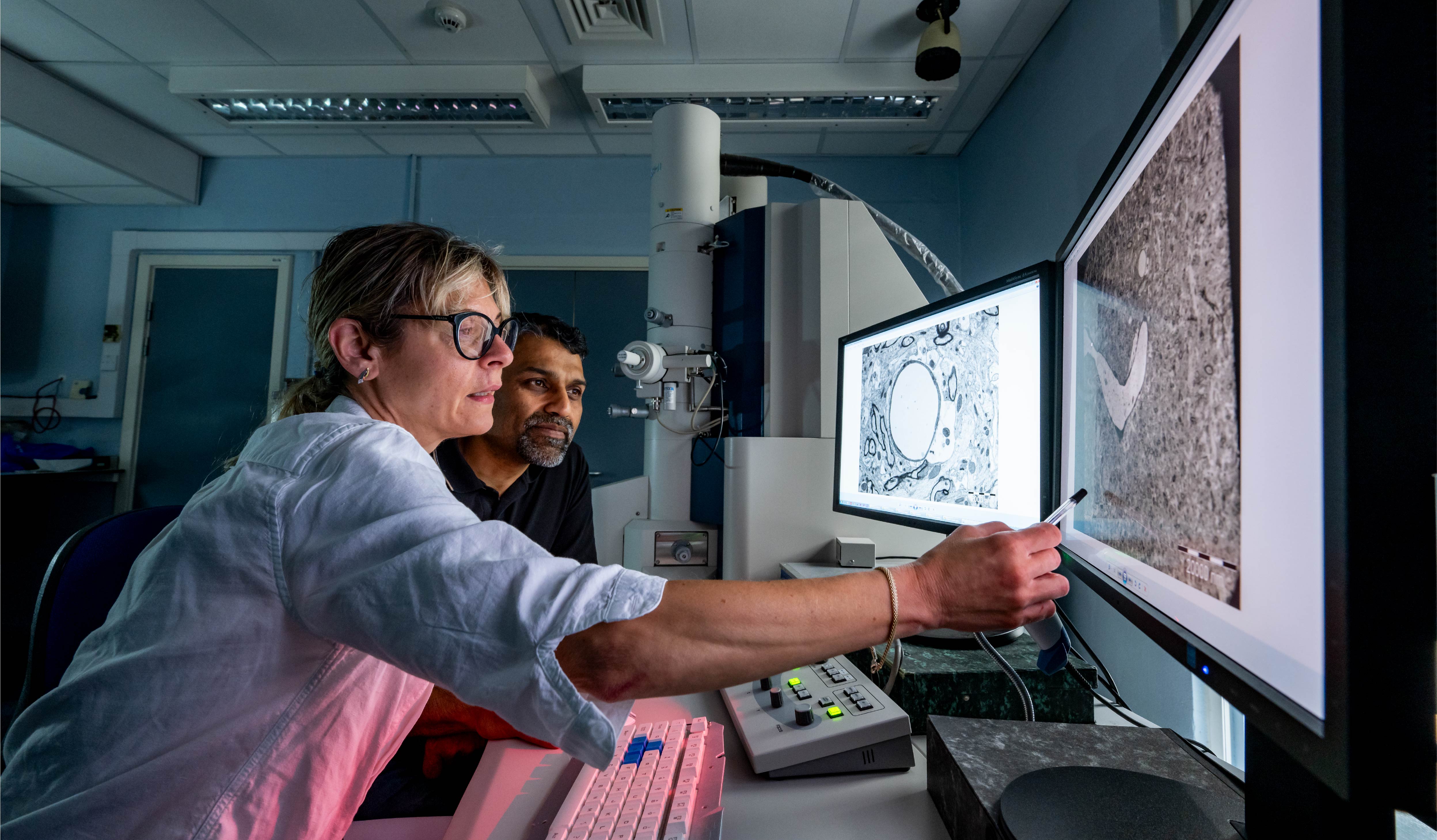 A photo of two scientists analysing some microscope slides on a computer screen 