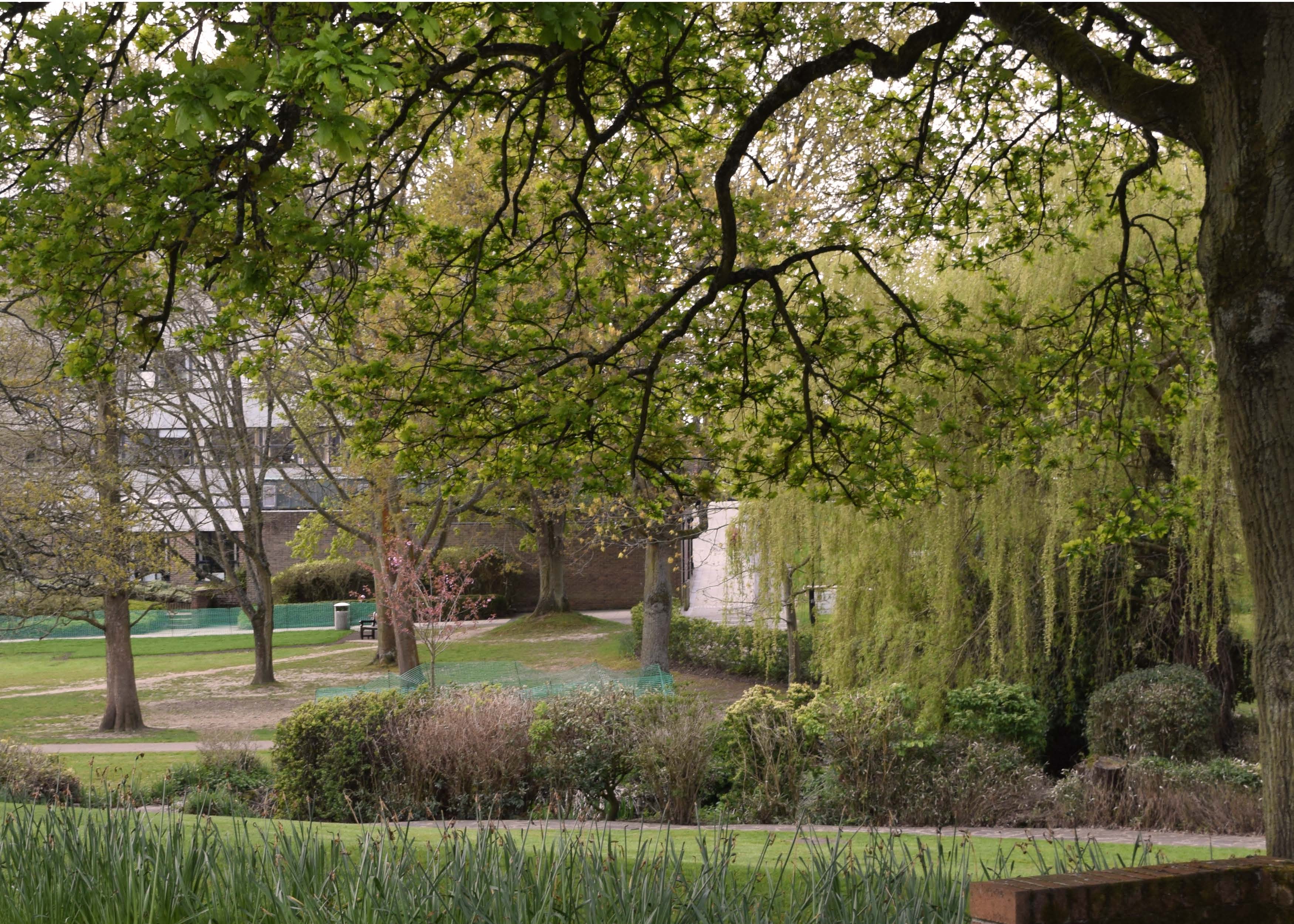 Highfield campus in spring with lots of greenery